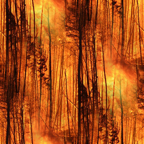 Feux Flammes 14-10