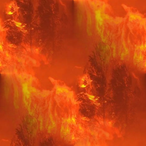 Feux Flammes 14-6