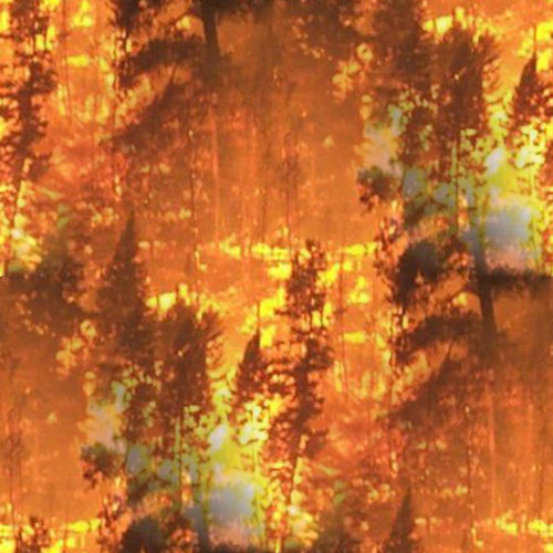 Feux Flammes 17-3 Feux Flammes 17-3