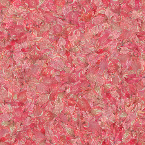 Fleurs 19-10