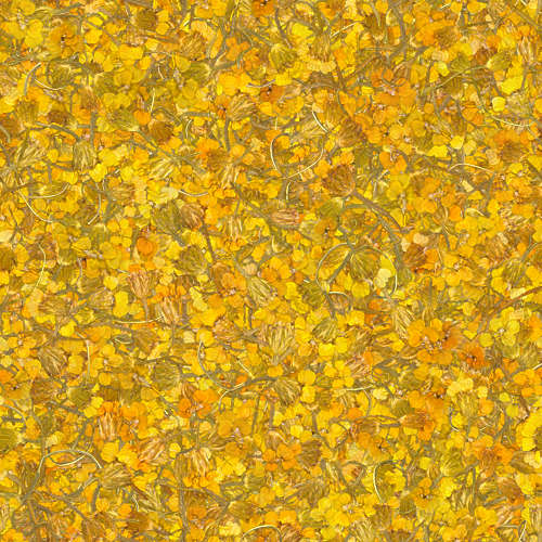Fleurs 19-8