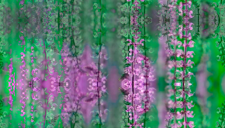 Fleurs 22-16 Fleurs 22-16