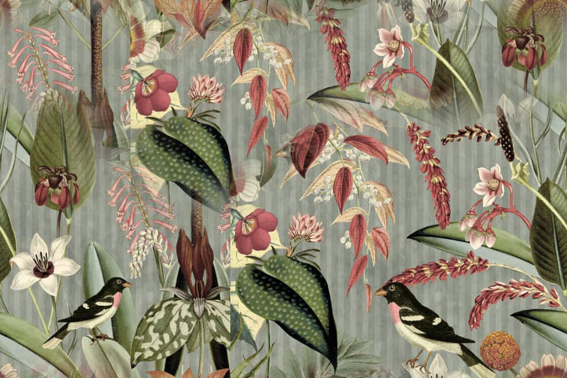 Fleurs 23-12 Fleurs 23-12