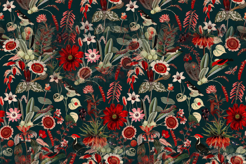 Fleurs 23-13 Fleurs 23-13