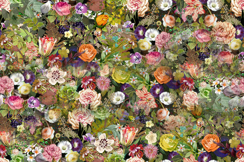 Fleurs 23-15 Fleurs 23-15