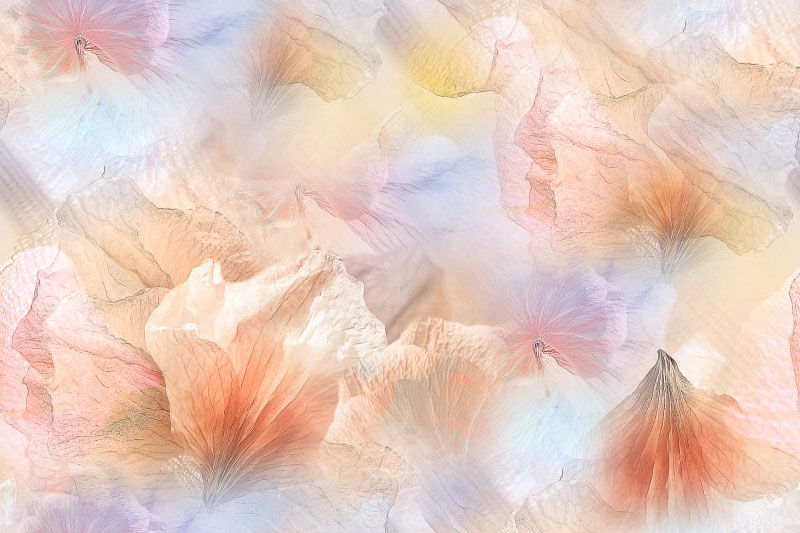 Fleurs 23-9 Fleurs 23-9