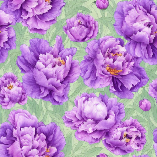 Fleurs 24-16 Fleurs 24-16