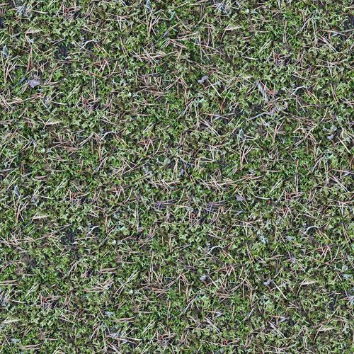 Herbe 7-1