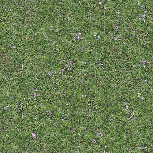 Herbe 7-2