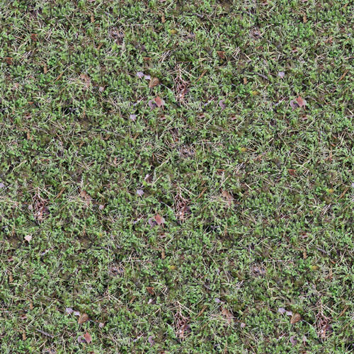 Herbe 7-3