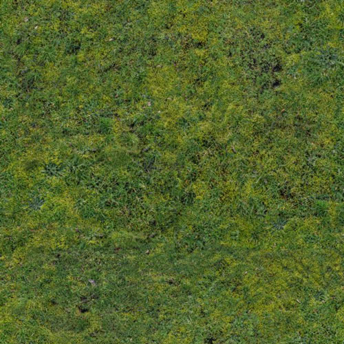 Herbe 7-5
