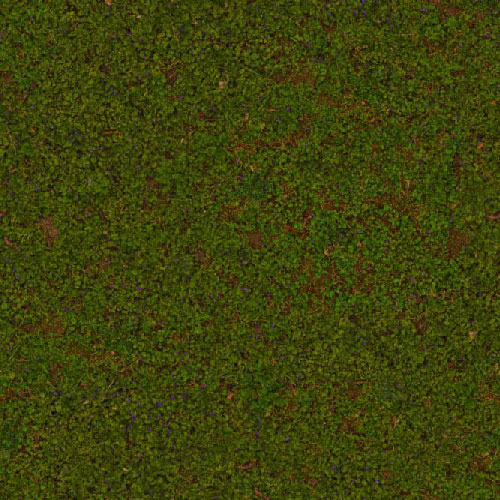 Herbe 7-9