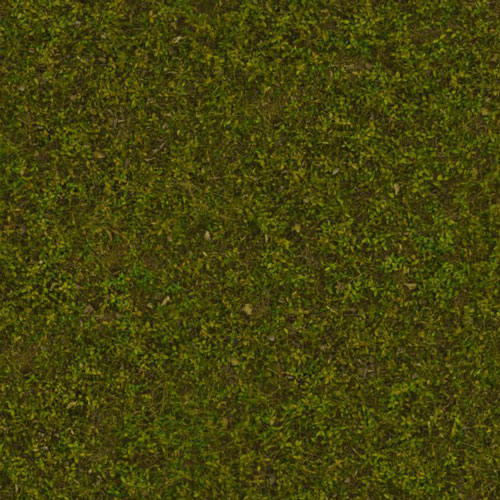 Herbe 8-1