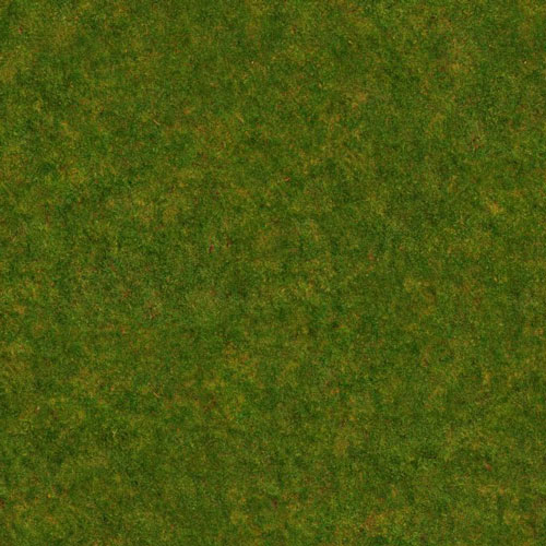 Herbe 8-5
