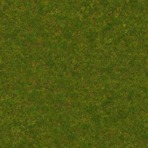 Herbe 8-6