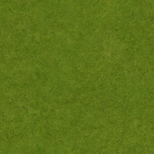 Herbe 8-9