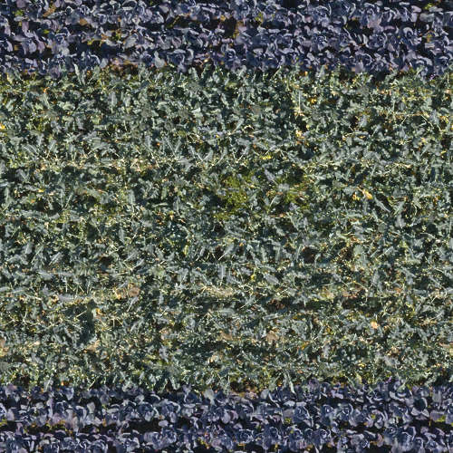 Herbe 12-10