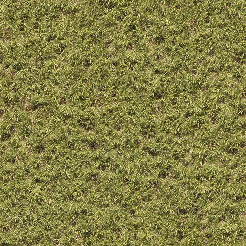 Herbe 12-2