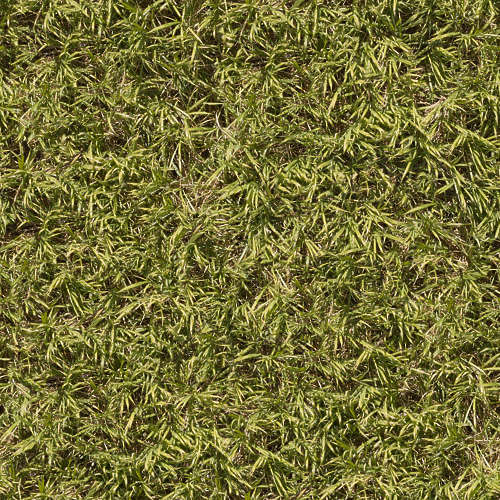 Herbe 12-3