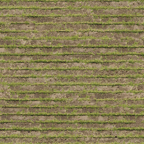 Herbe 13-1