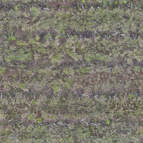 Herbe 13-7