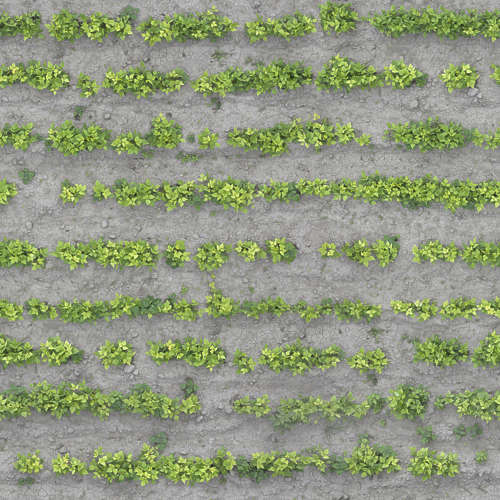 Herbe 13-8