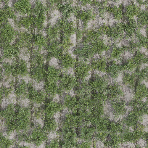 Herbe 13-9