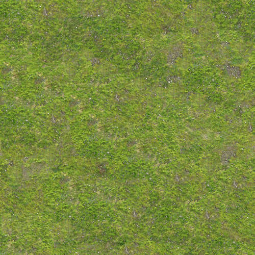 Herbe 14-10