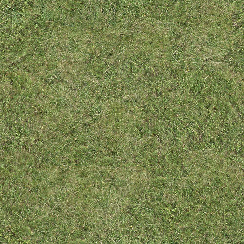 Herbe 14-11