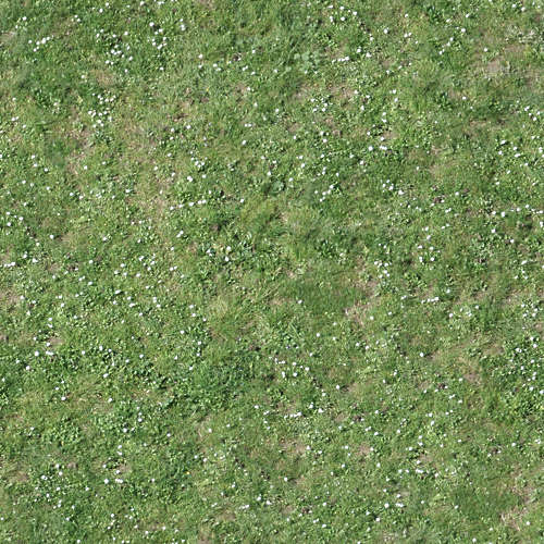Herbe 14-12