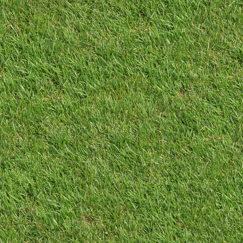 Herbe 14-3