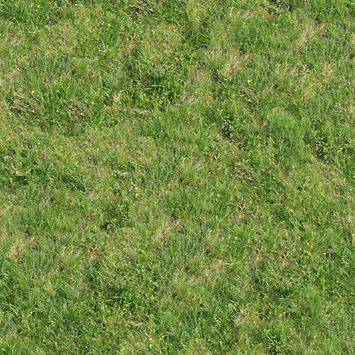 Herbe 14-5