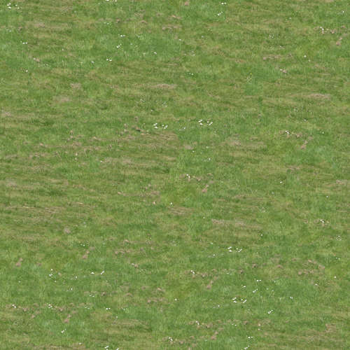 Herbe 14-6