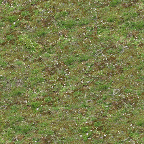 Herbe 14-7