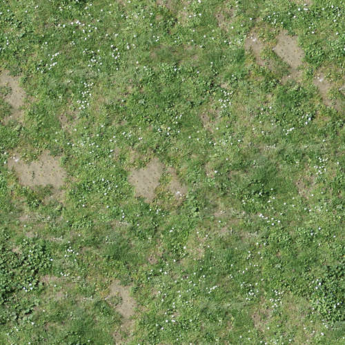 Herbe 15-1