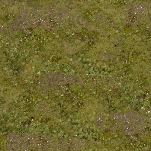 Herbe 15-10