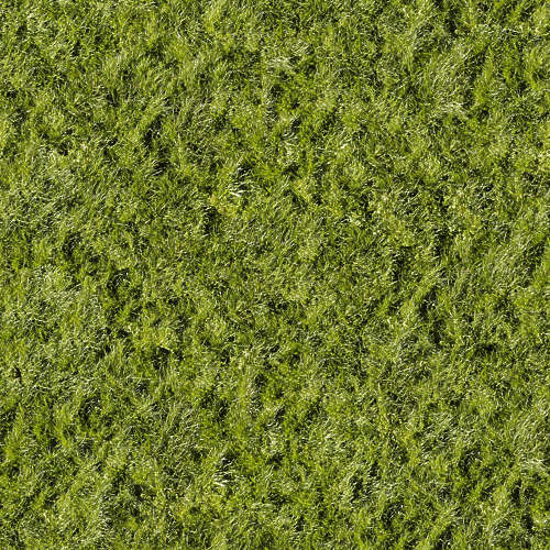 Herbe 15-12