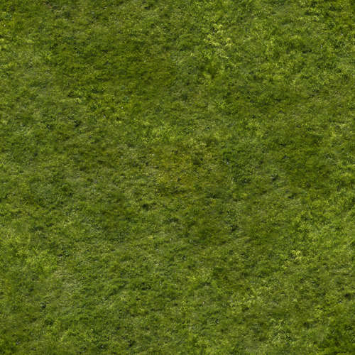 Herbe 15-2