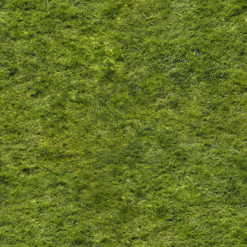Herbe 15-3