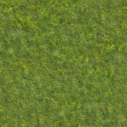 Herbe 15-4