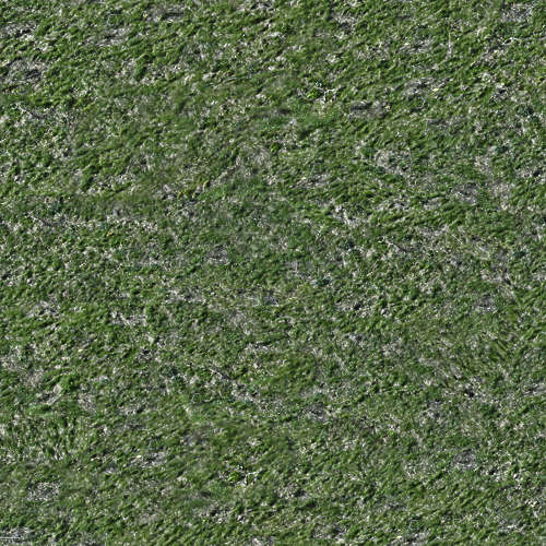 Herbe 15-5