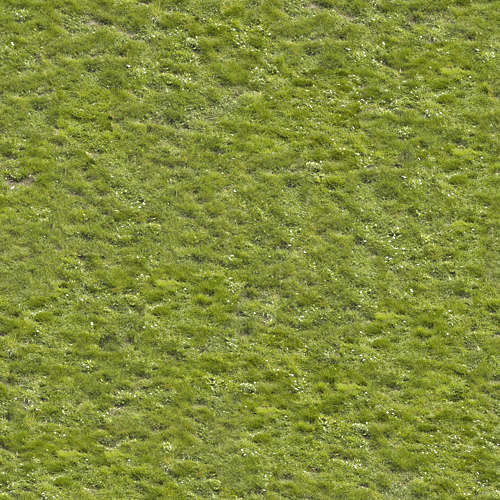 Herbe 15-6