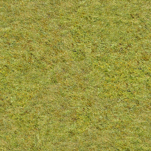 Herbe 15-7