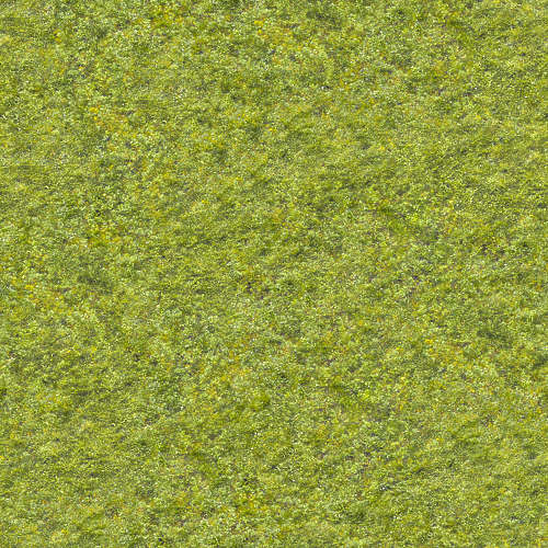 Herbe 15-8