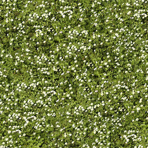 Herbe 16-1