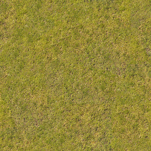 Herbe 16-10