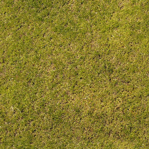 Herbe 16-11