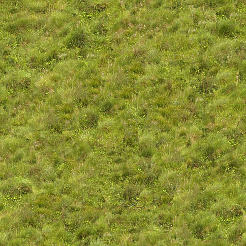 Herbe 16-12