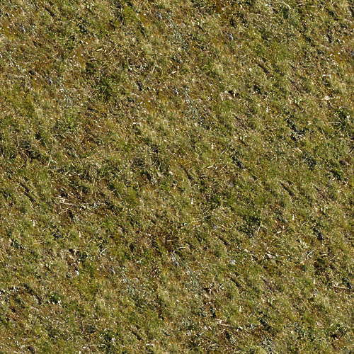 Herbe 16-2