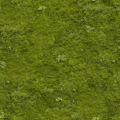 Herbe 16-4
